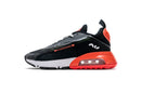 Nike Air Max 2090 SP Atmos